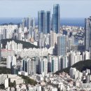 부산의 지역별 부동산 분석 이미지