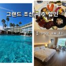아리아호텔(신관) | 그랜드 조선 제주 서귀포 중문 호텔 할인 | 객실·아리아 뷔페 런치·수영장 호캉스 후기