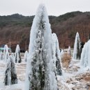 고목향