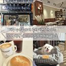 수성구청역 1번 출구 앞 | 대구 수성구 카페 추천 애견동반 가능 수성구청역 베이글 맛집 프렌데레 베이글