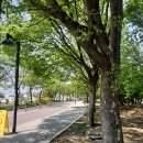 지영동체육공원 이미지