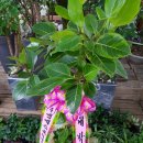 오천당구장 이미지