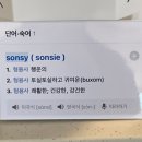 손씨(sonsy)