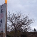 수정화원 이미지