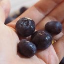 석산농장 이미지