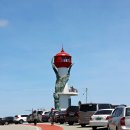 파도대게 이미지