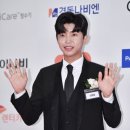 사파동195 이미지