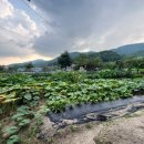 사랑가득주유소 이미지