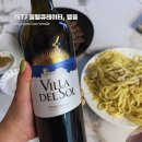아가타 테이블 | 빌라 델 솔, 틴토 세코(Villa del Sol, Tinto Seco) 시음 노트 | 스페인 가성비 데일리 레드