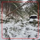 여강길(11코스 동학의길) 이미지