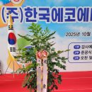 (주)사조대림 영천공장 | 🌿 영천 공장 오픈식 관엽식물 3종 배송 후기 – 녹보수 &amp; 황금죽으로 채운 새 출발의 공간