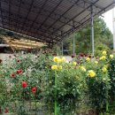 미연농장 이미지