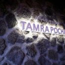 탐라포차 둔산점 이미지