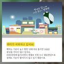 책피어나다 이미지