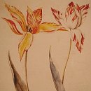 보태니컬아트 이미지