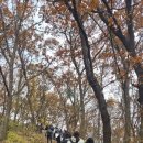 동백복싱클럽 - 용인시 기흥구 동백중앙로 352 | 동백복싱클럽