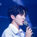도운 카카오 검색결과