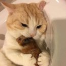 신탄진 오락실 이미지