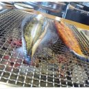 황토장어 이미지