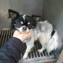 금호119안전센터 이미지