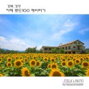 카페로드100 티스토리