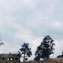 베베앙팡 이미지