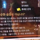 보스호프 이미지