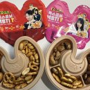 T&F클럽 | CU 신상 폭스콤보 MBTI T, F 후기