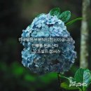 마태복음 26:1~13 주님을 위한 거룩한 낭비 이미지