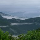 1박2일 위 이미지