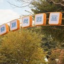 세라핌민박 이미지