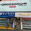 부산강아지분양 앨리펫 네이버블로그