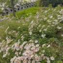 중하경로당 | 서울 초보 등산 추천 인왕산 최단 코스 (난이도 중하)