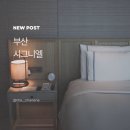 부산 | 시그니엘 부산 후기 가격부터 수영장 라운지 조식까지 하루 호캉스 완벽 정리
