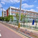 주정차18 이미지