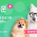 펫글타운 네이버블로그