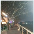 대숲여행 이미지