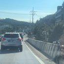 양지바른 | 새해푸드로 수제버거(양양 양지바른버거앤쌀국수 내돈내산 후기)