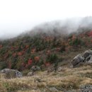 세석산장