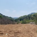 와룡리마을길 이미지