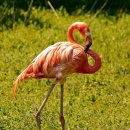 스테이다시올게 이미지