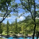 노작호수공원 | 동탄 물놀이장, &lt;노작호수공원 물놀이장&gt; 주말 이용후기