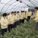 선산농협미곡처리장 이미지