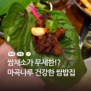 마곡나루역 맛집 예향정｜쌈채소가 무한인 마곡 쌈밥 맛집