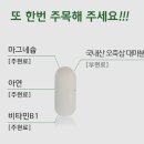 위드그린 네이버블로그