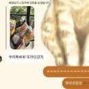 귀로 순대국 | 2025.10.10 - 2025.10.12 비오는 날 글램핑🏕️, 캠핑 꽃게구이🦀, 기다리던 아이패드 선물✨💖