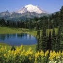 대해관광여행사(주) 이미지