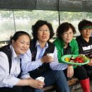 박광순농장 이미지