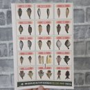 오늘의 바다 | 목포생선구이 맛집 오늘의목포바다