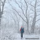 수산교 | 월악산 등산코스 (수산교 ~ 영봉 ~ 동창교) 등산 후기